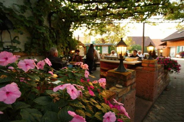 Gasthaus Hotel Adler Endingen am Kaiserstuhl Exteriér fotografie